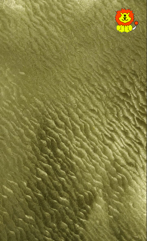 Cold Anar Pyro Embossed Paper