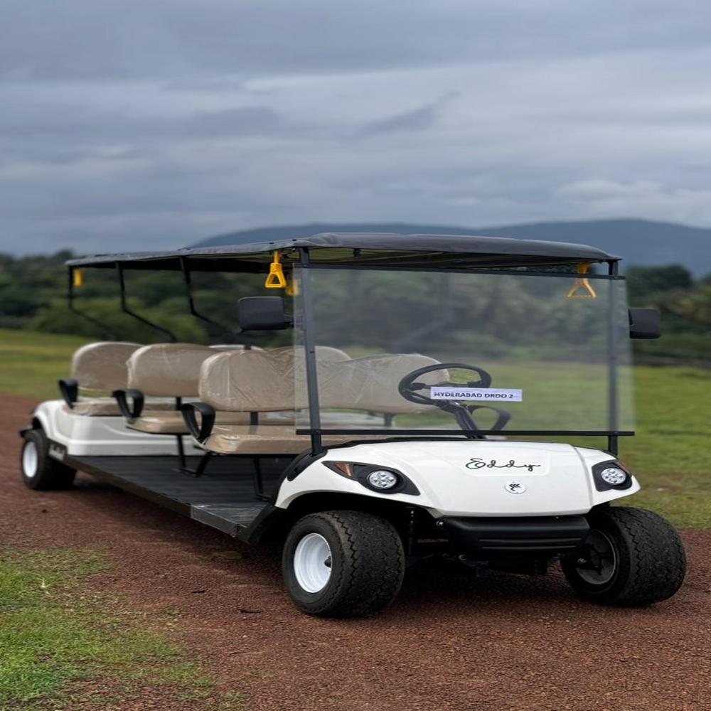 Electric Buggy