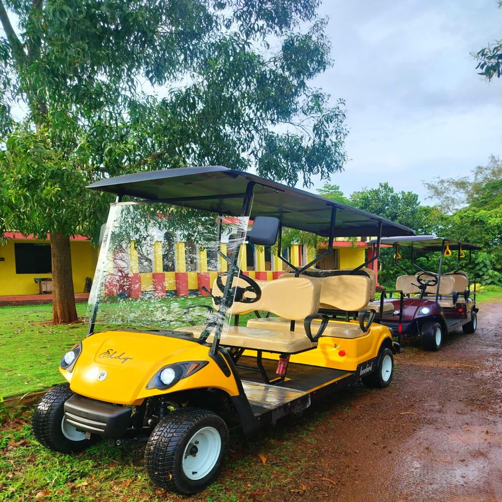 Electric Buggy
