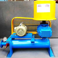 Twin Lobe Air Blower