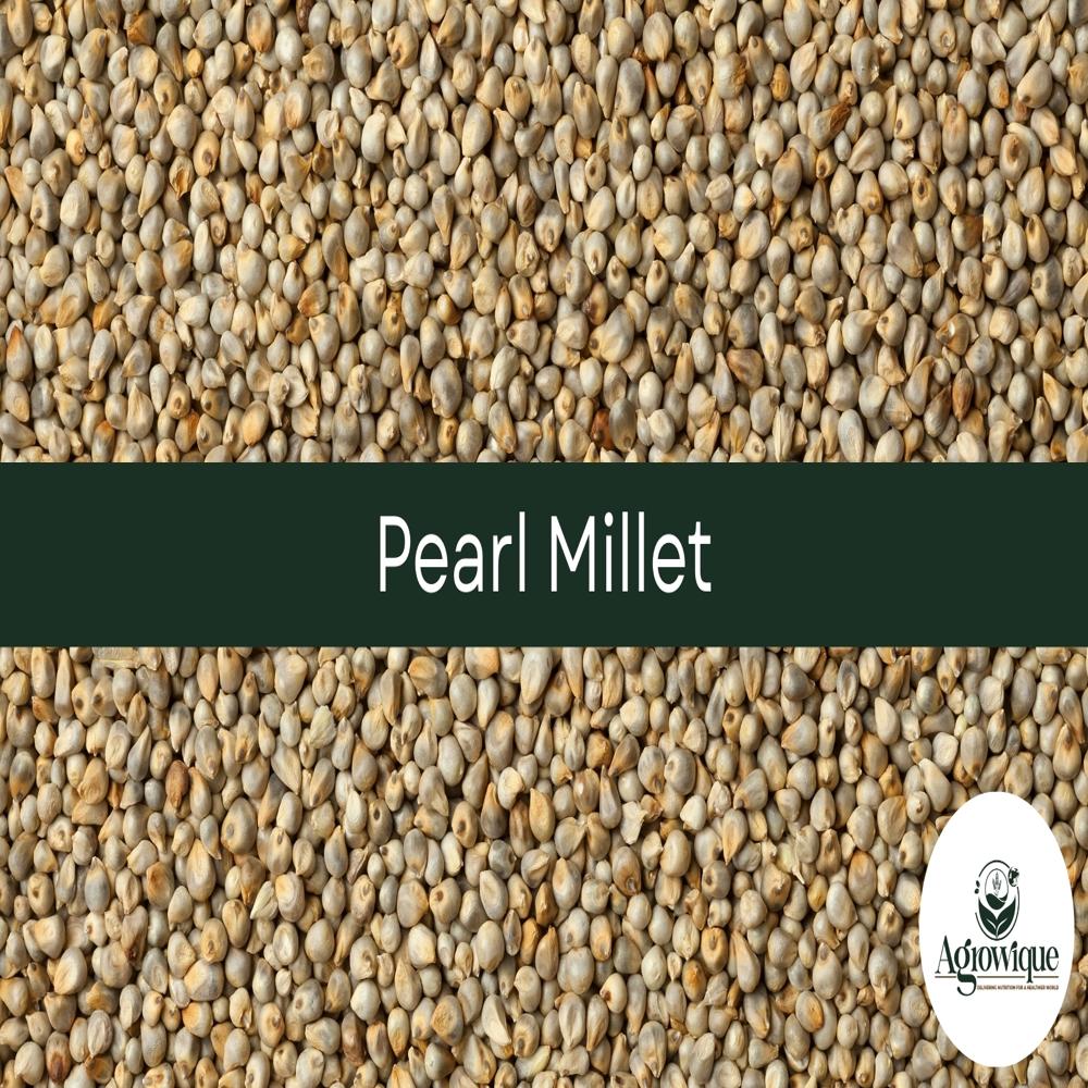 Pearl Millet(bajra) - Cultivation Type: Common