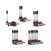 P40 Monoblock Directional Valve - Color: As Per Availability