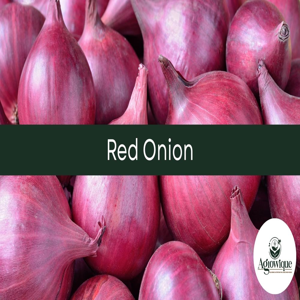 Fresh Onion - Moisture (%): Nil