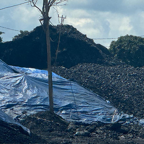 Natural Coal