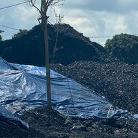 Natural Coal