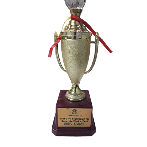 Best Employee Trophy - Color: Various Colors