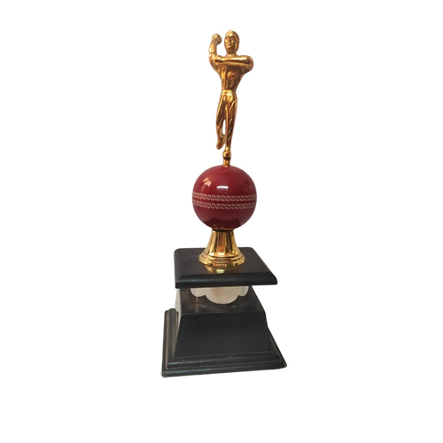 Customized Sports Trophies