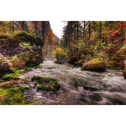Art Work-Nature Wallpaper
