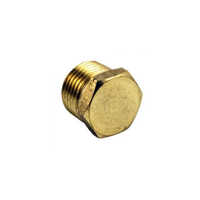 3-4 Inch Brass Hex Head Plug