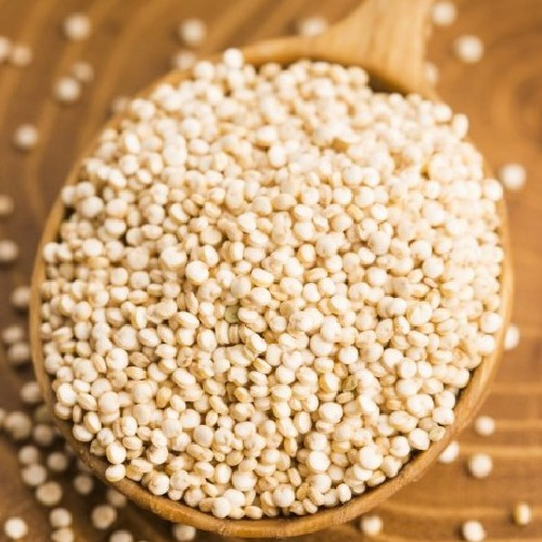 Best Quality Quinoa Seed For Eating And Farming - Color: Light Yellow