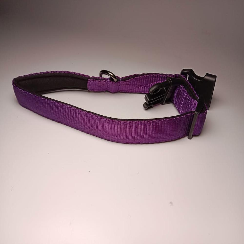 Textrade Associates Reflective Dog Collar, 32mm Width, Set of 4, Yellow Purple Red Orange, Adjustable with D-Ring