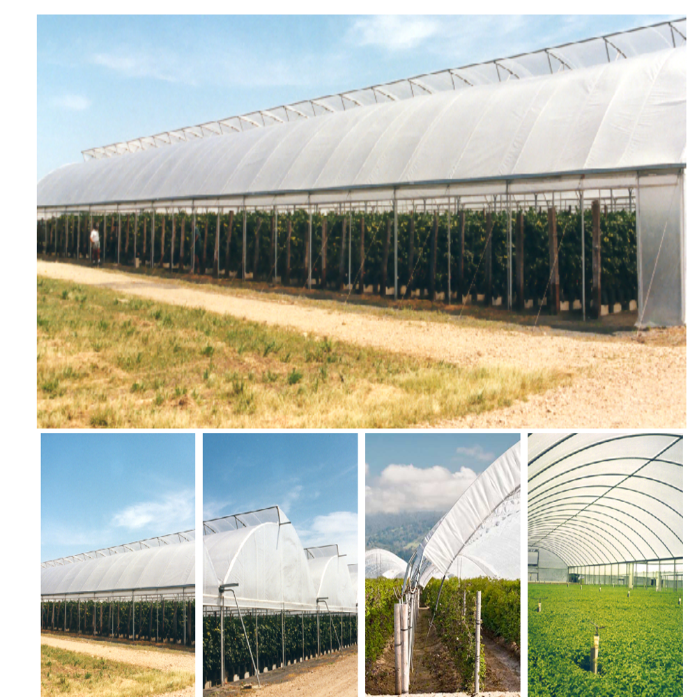 Fabric Structured Tensile - Color: As Per Requirement