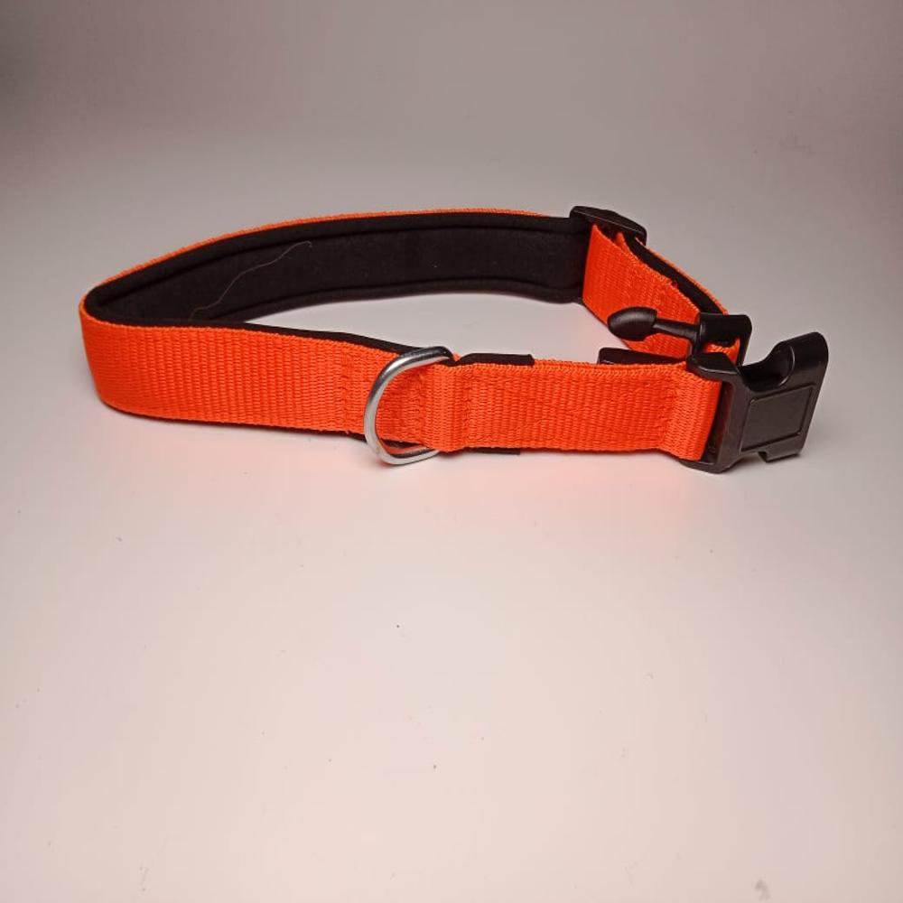 Textrade Associates Reflective Dog Collar, 32mm Width, Set of 4, Yellow Purple Red Orange, Adjustable with D-Ring