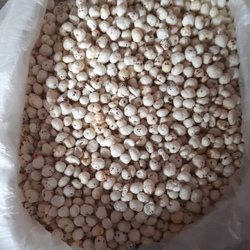 ताजा मखाना