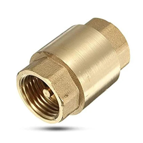 SS Non Return Valve