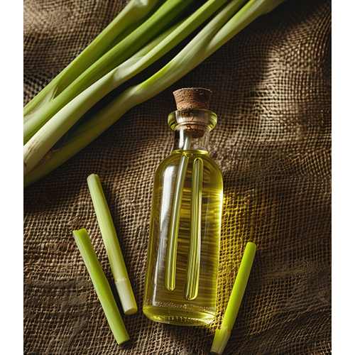 Lemongrass Oil - 25 Kilogram, 99% Purity Liquid Herbal Extract | Fragrance Compound for Adult Use, Store in Cool, 24 Months Shelf Life