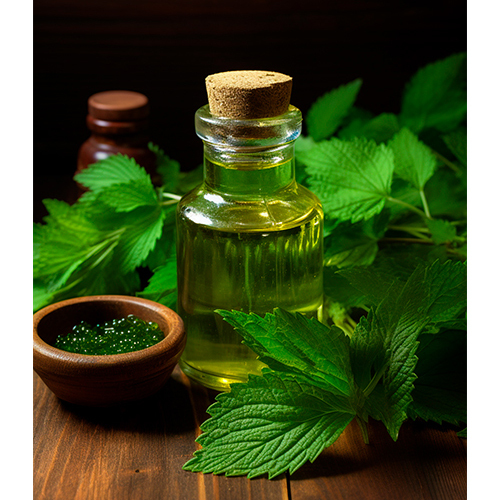 Spearmint Oil - Age Group: Adults