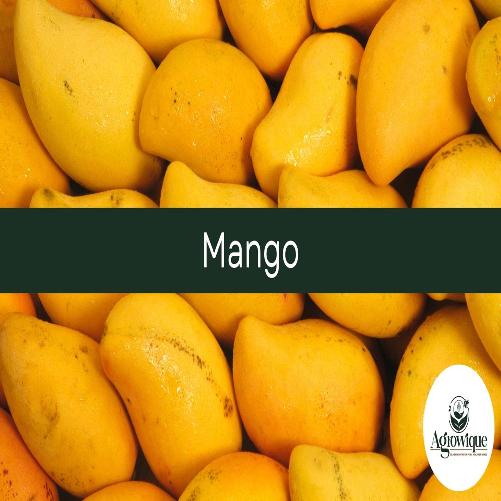 Fresh Mango