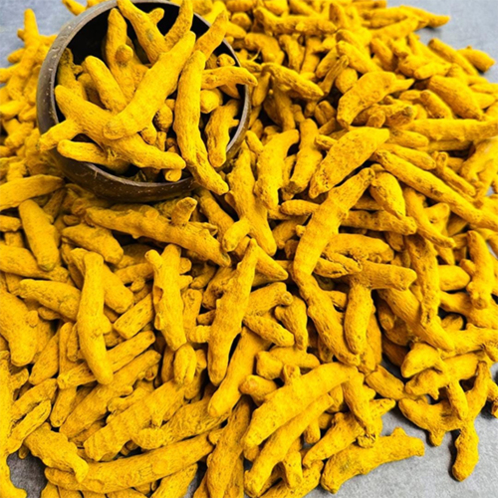 Double Polish Turmeric Finger - Grade: Food Grade