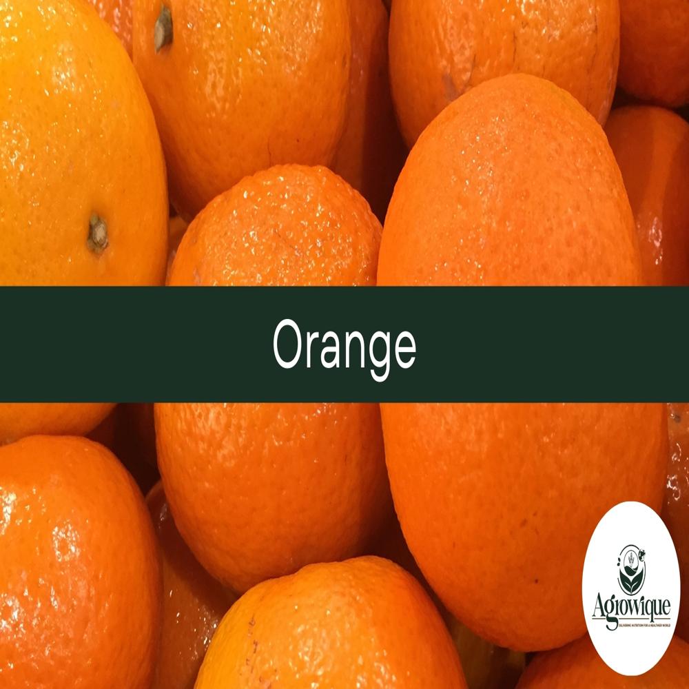 Fresh Orange - Cultivation Type: Common