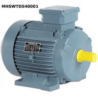 Havells Electric Motor - Color: Grey