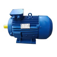 Electrical Three Phase Motor