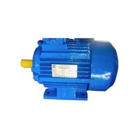 Three Phase Induction Motor