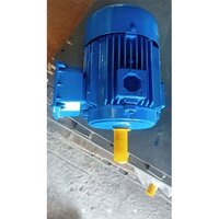 3 HP Three Phase Induction Motor