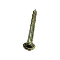 Roofing Screw - Color: Silver
