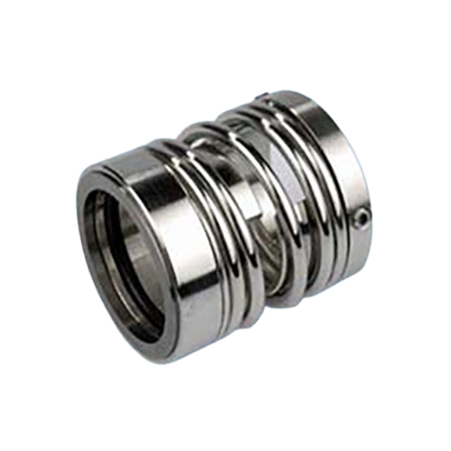 SS Mechanical Seals
