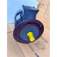 Foot Cum Flange Mounting Motor