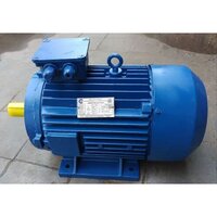 Unicorn Flange Motors Brake