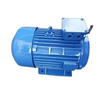 Three Phase Electric Brake Motor