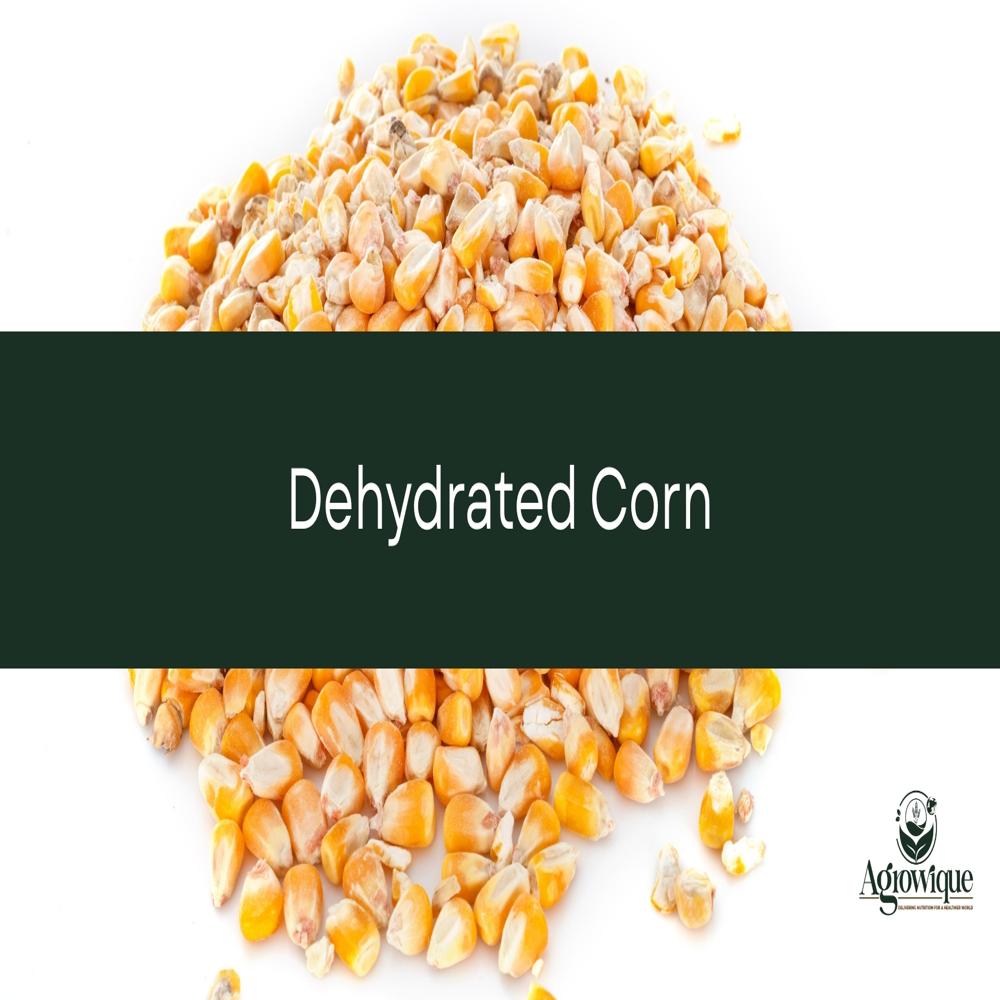 Dehydrated Corn - Shelf Life: 1 Years