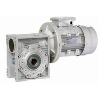 Worm Gearbox Motors