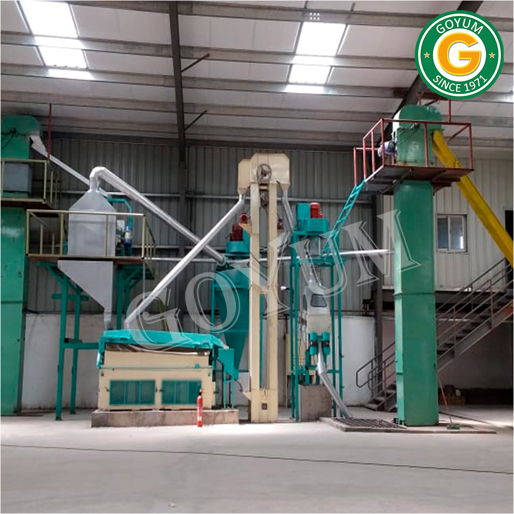 Seed Cleaning Machine - Mild Steel, 10-50 Tonnes Per Day Capacity, Automatic Operation, 1-year Warranty | Efficient Dust Collector, Double Deck Design, Low Maintenance