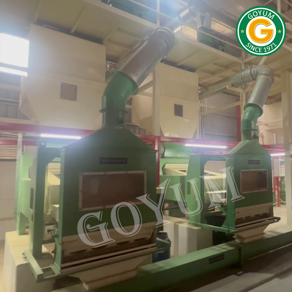 Seed Cleaning Machine - Mild Steel, 10-50 Tonnes Per Day Capacity, Automatic Operation, 1-year Warranty | Efficient Dust Collector, Double Deck Design, Low Maintenance