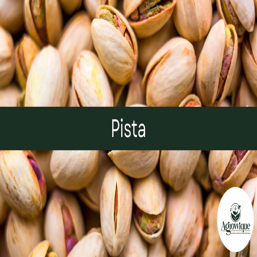 Pista
