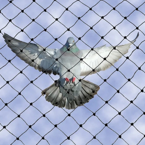 Bird Net - Color: Black