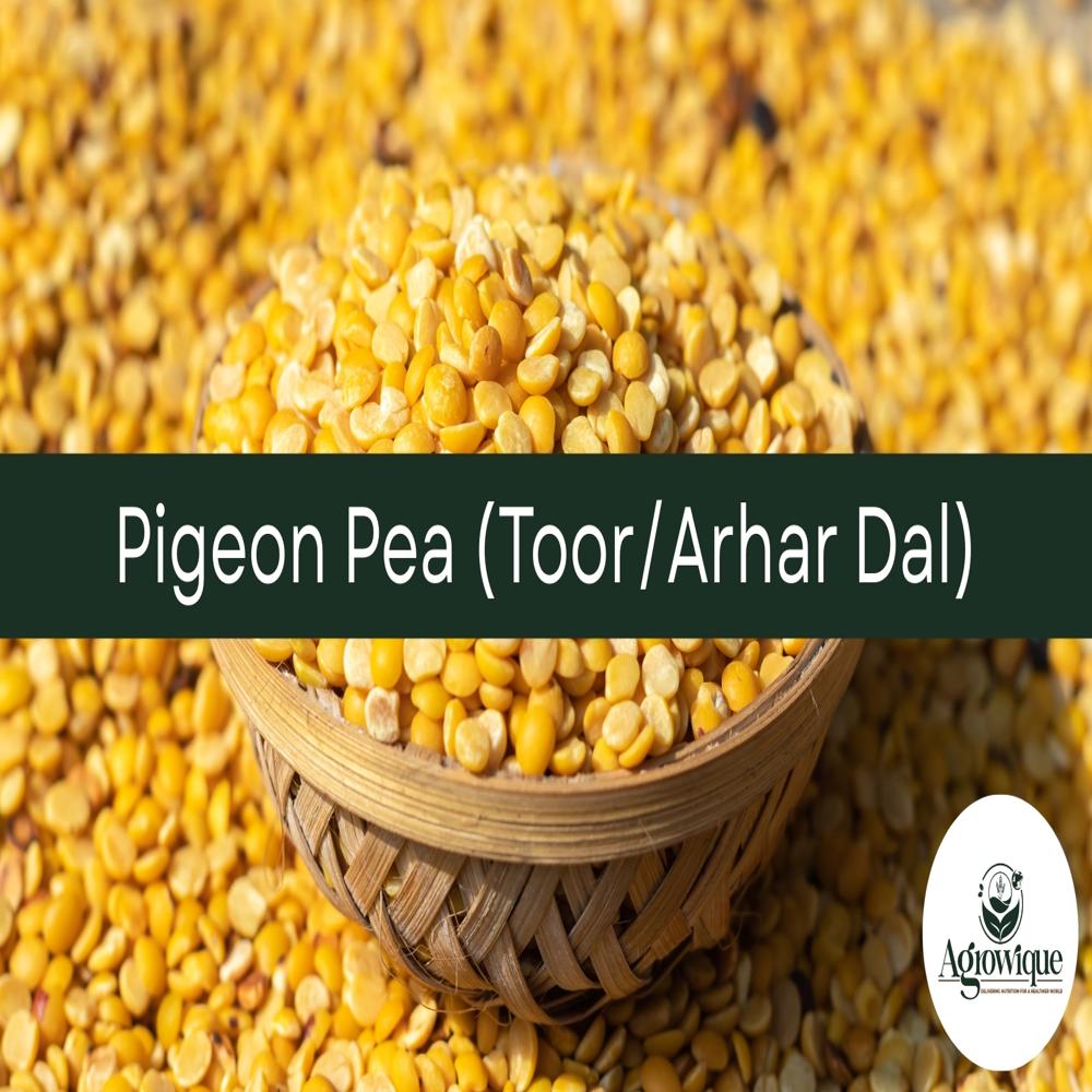 Pigeon Pea