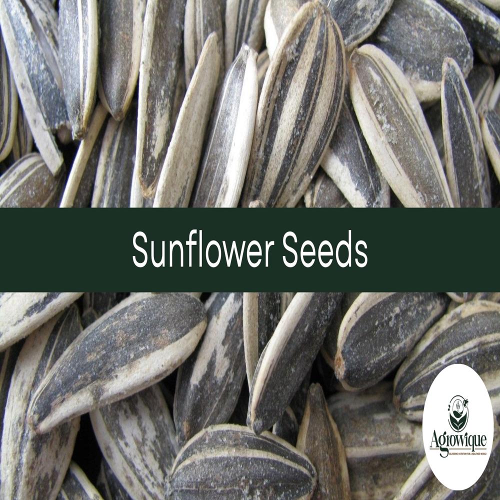 Sunflower Seed