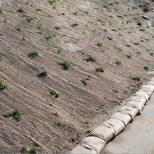 Jute Geotextile - Jute Fiber, 100-500 Gsm, Beige | High Tensile Strength, Biodegradable, Ideal For Erosion Control And Soil Stabilization