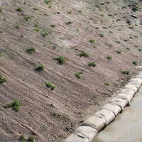 Jute Geotextile