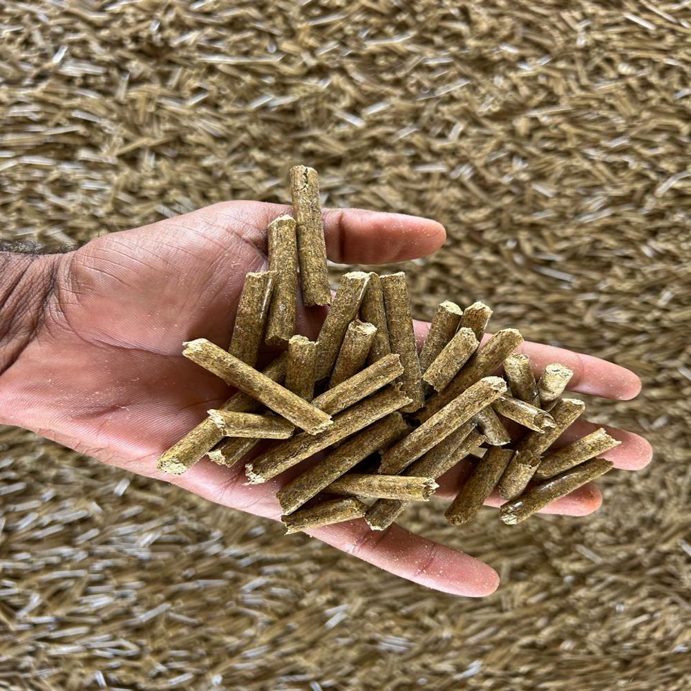 8 Mm Biomass Pellets