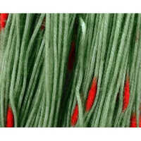 Green Woolen Yarn