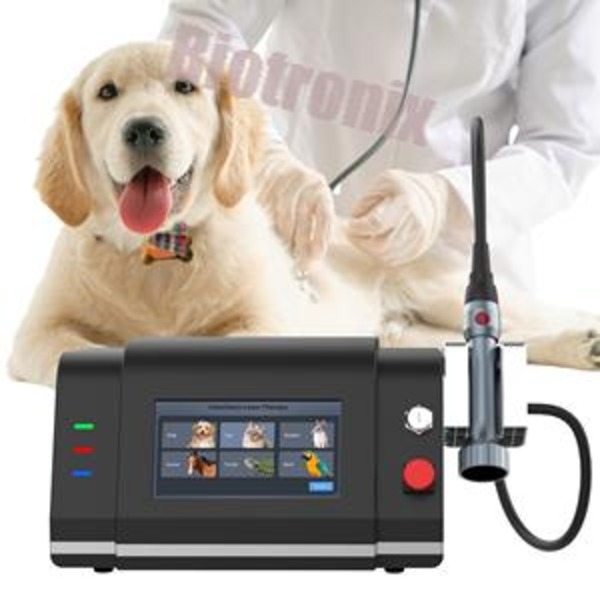 Veterinary-Grade Class IV Laser for Muscle & Joint Pain Relief in Animals