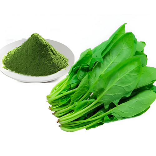 Spinach Extract Powder