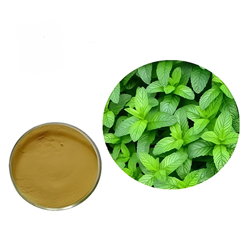 Mint Extract