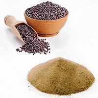 Organic Mustard Seed Extract (orgen-se) - Grade: Industrial Grade