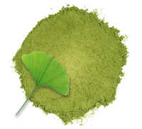 Ginkgo Biloba Extract Powder